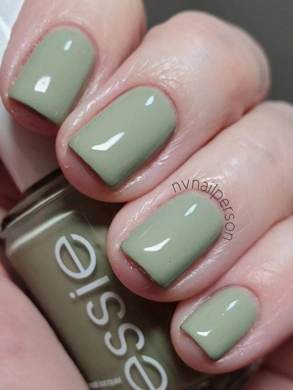 NWT ESSIE COLOR: NATURAL CONNECTION!